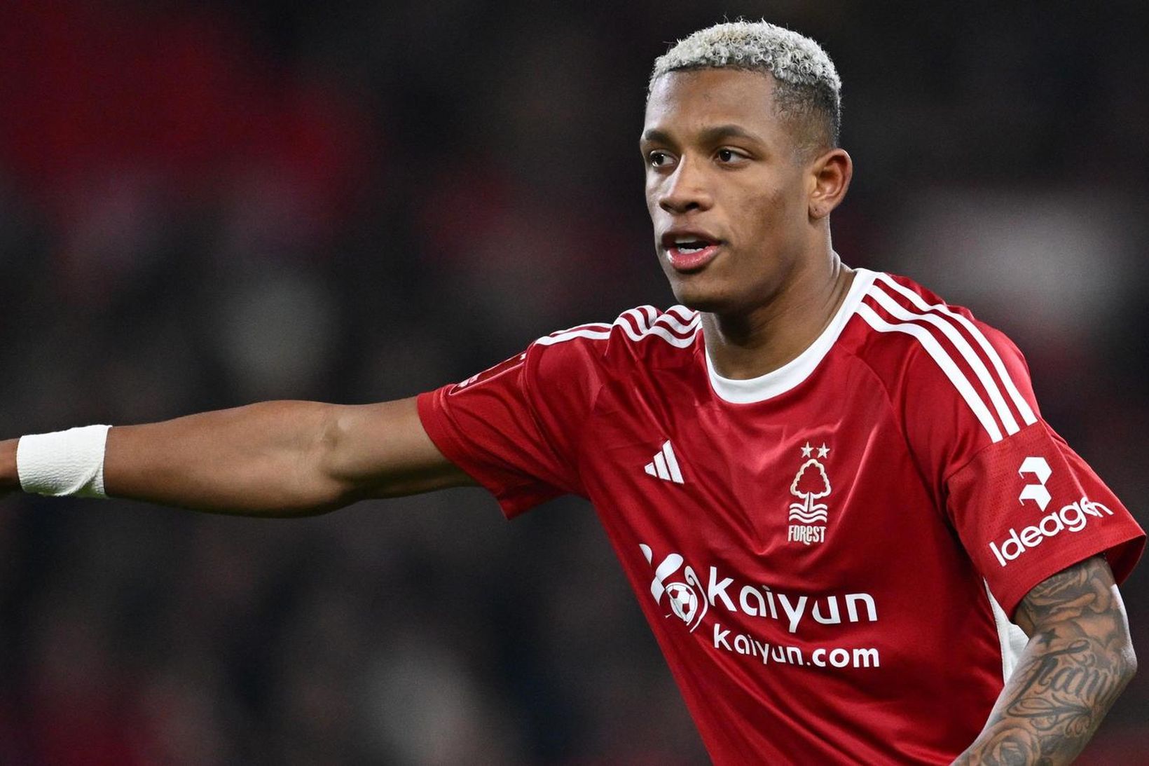 Danilo er kominn til heimalandsins á ný.