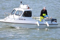 Guðlaugur Árnason trillukarl gerir að þorski á Eyjafirði. Strandveiðum lýkur í dag en aflaheimildir verða …