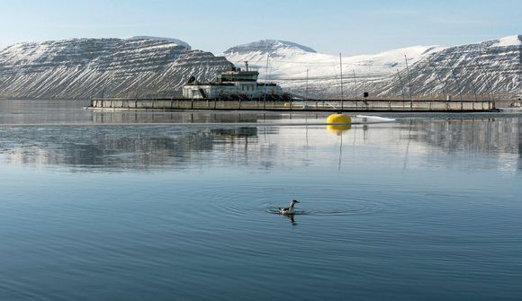 Arnarlax greiddi í fyrsta sinn tekjuskatt