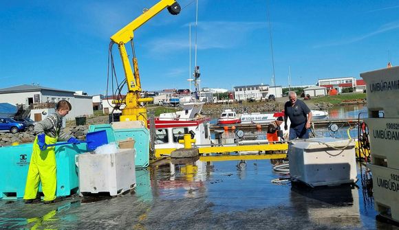 Telja Fiskistofu skorta þekkingu á uppboðum