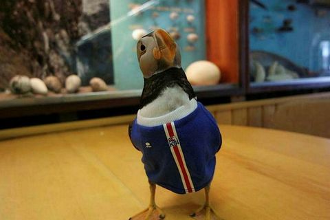 Tóti, donning the Icelandic football shirt he acquired during the UEFA EURO 2016 in France.