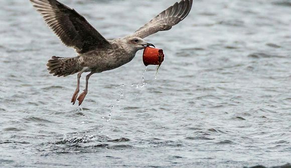 18 aðgerðir til að draga úr plastnotkun