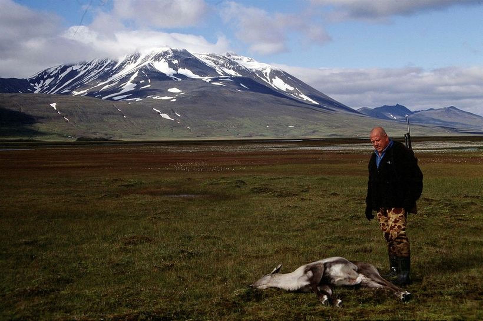 Samtökin Jarðarvinir segja hreindýraveiðar ekki standast lög um velferð dýra.