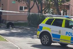 Lögreglumaður með hund sér til fulltingis í Bromma í vesturhluta Stokkhólms þar sem fjölda skota …
