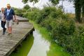 Græn leðja Fólk á gangi við grænleitt vatnið í Lough Neagh á Norður-Írlandi en þörungablómi ógnar lífríkinu.