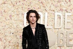 Timothée Chalamet á greinilega marga tvífara.