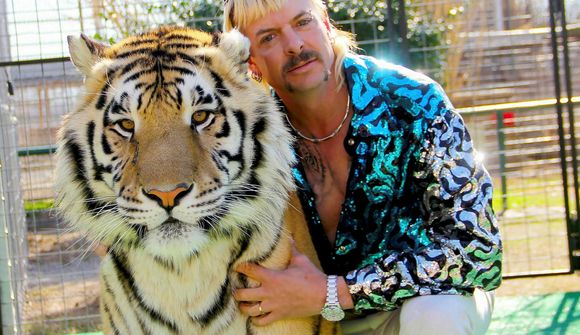 39 tígrisdýr úr „Tiger King“ á verndarsvæði