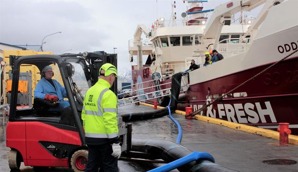 Undirbúa að landa lifandi fiski úr Oddeyrinni EA