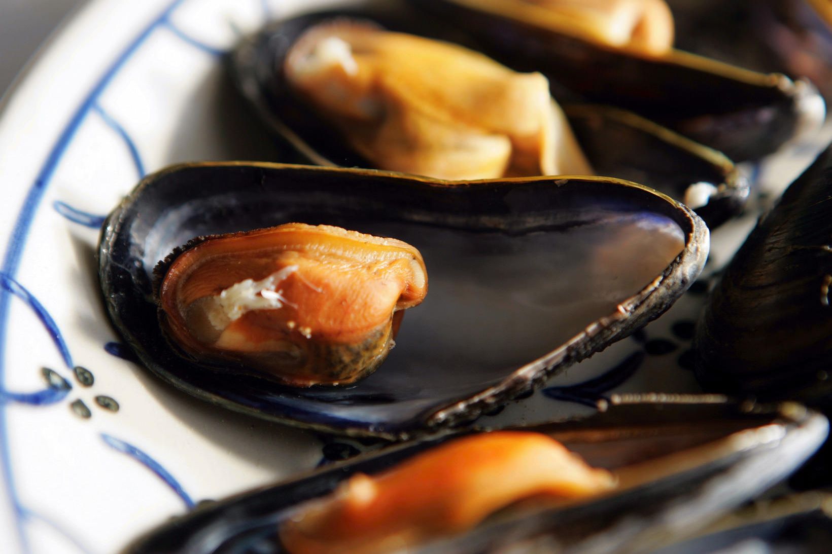 Skelrækt nauðsyn í próteinkrísu heimsins