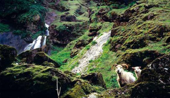 Deila um stöðu byggðakaflans