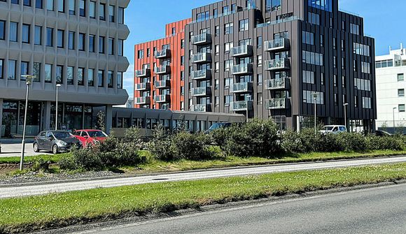 Eitthvað skýrir litla eftirspurn