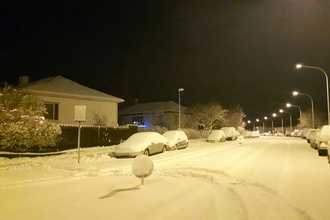 A photograph taken this morning by one of our staff in the Vogar district in 104 Reykjavik.