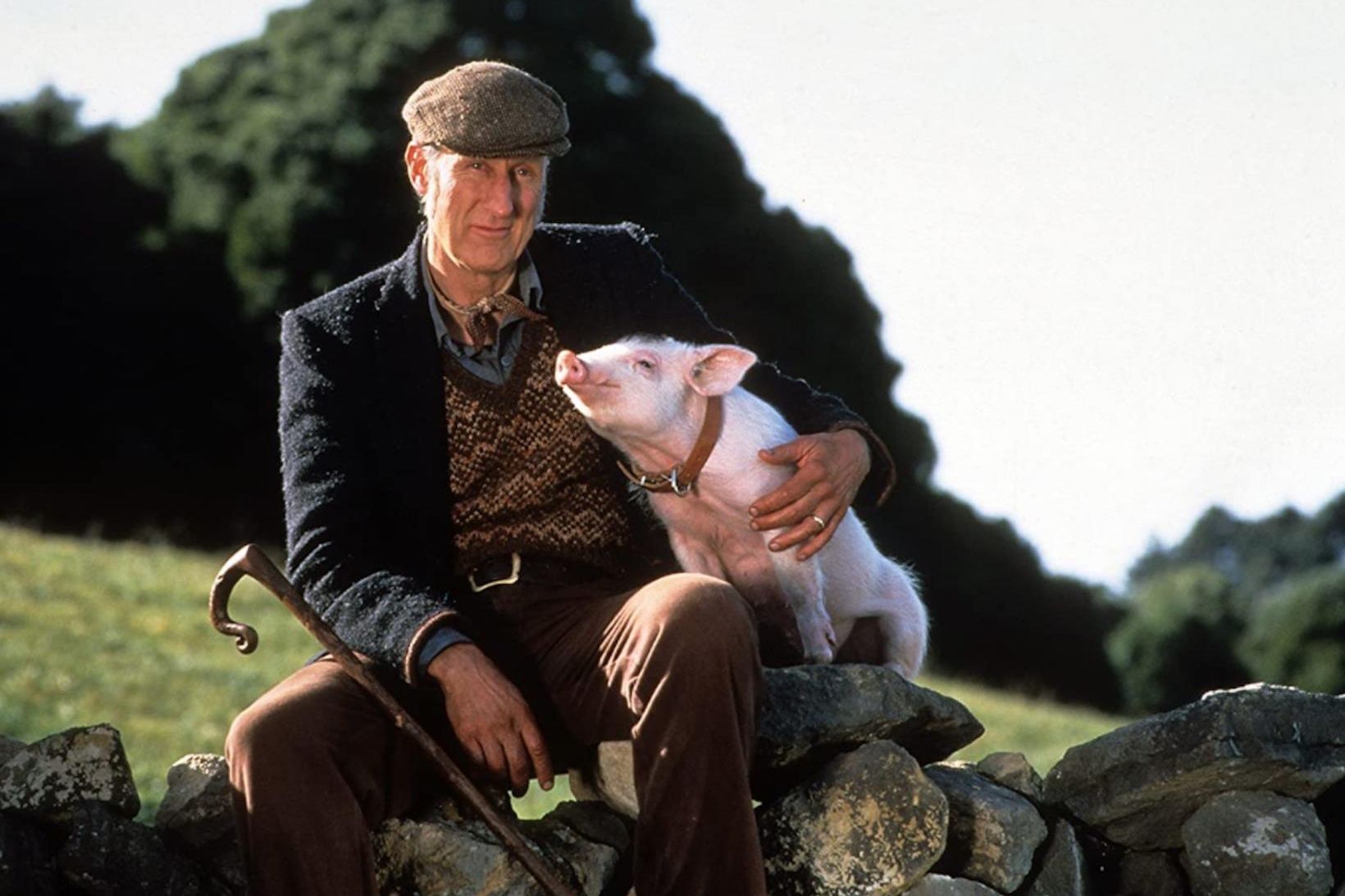 James Cromwell gerðist aðgerðarsinni eftir leik sinni í myndinni um …