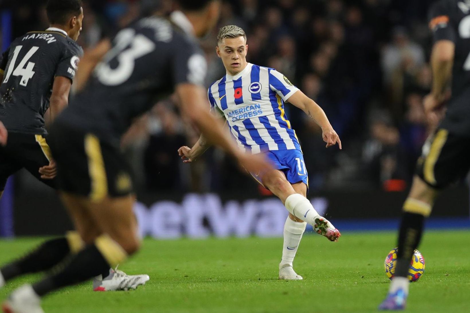 Leonardo Trossard skoraði mark Brighton.