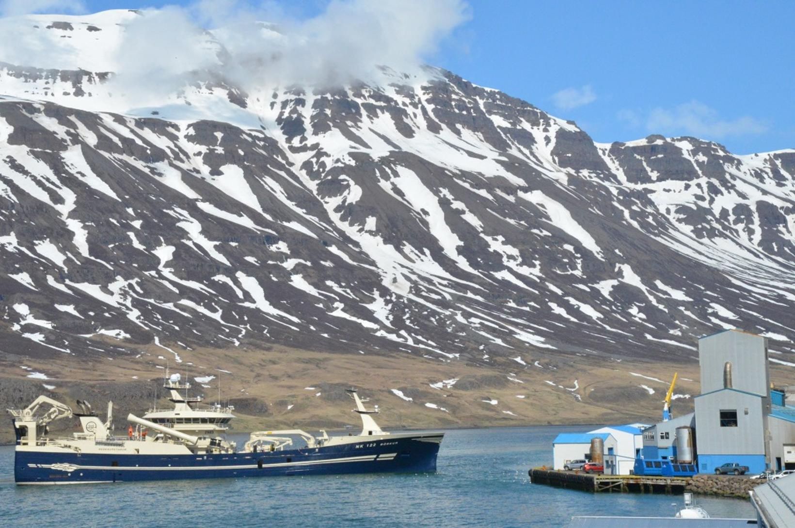 Hafa tekið við yfir 61 þúsund tonnum af kolmunna