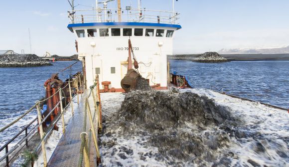 Höfnin er „stútfull af sandi“