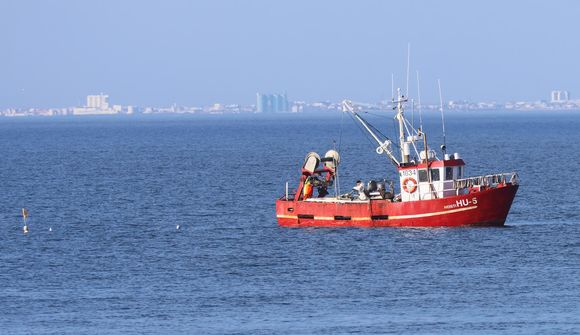 Aðeins 12 bátar á veiðum en 800 tonn eftir