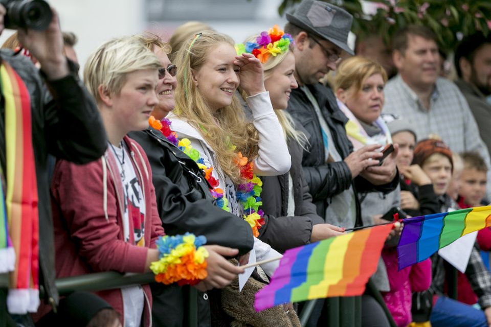 Gay pride 2013