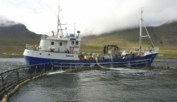 Þingmenn og ráðherrar þurfi að axla ábyrgð