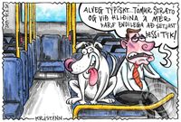 Teikningin - sun.17.júl.2016