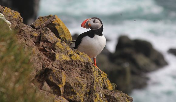Ísland verði fyrsti kostur ferðamanna