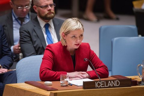 Lilja D. Alfreðsdóttir speaking at the UN.