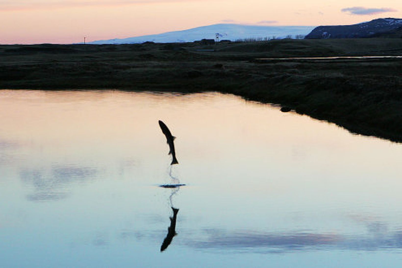 Þingvallavatn. Mynd úr safni.