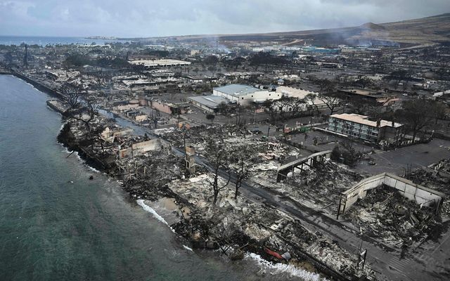 Skógareldarnir kviknuðu 8. ágúst og urðu um 800 hektarar þeim að bráð.