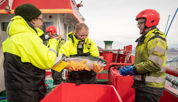 Hagnaðurinn 1,8 milljarðar króna