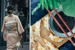 Japanskur matur er vinsæll um þessar mundir. Goyza dumplings réttur Berglindar Guðmundsdóttur er mjög einfaldur …