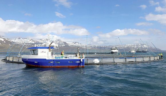 Nýtt leyfi í stað þess sem fellt var úr gildi