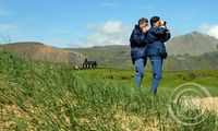 Í Búðahrauni á Snæfellsnesi - Velvakandi