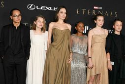 Angelina Jolie og börnin hennar Maddox, Vivienne, Zahara, Shiloh og Knox.