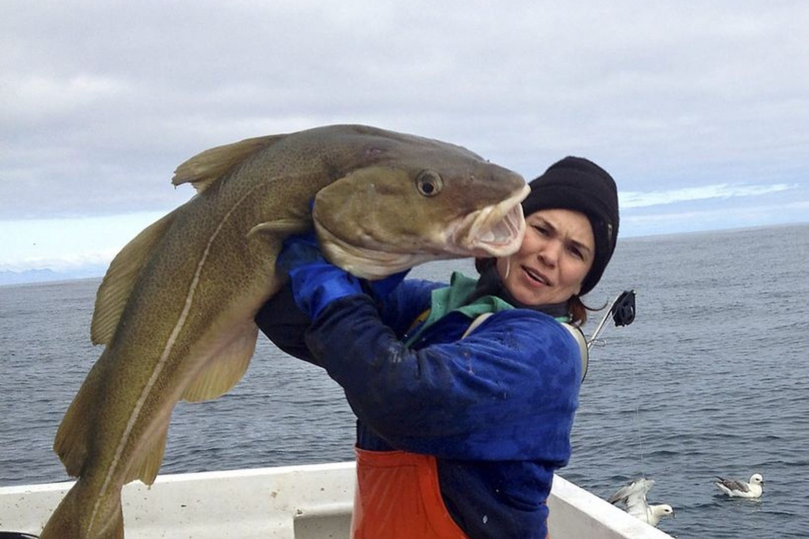 Hlédís Sveinsdóttir með vænan þorsk á miðunum út af Snæfellsnesi.