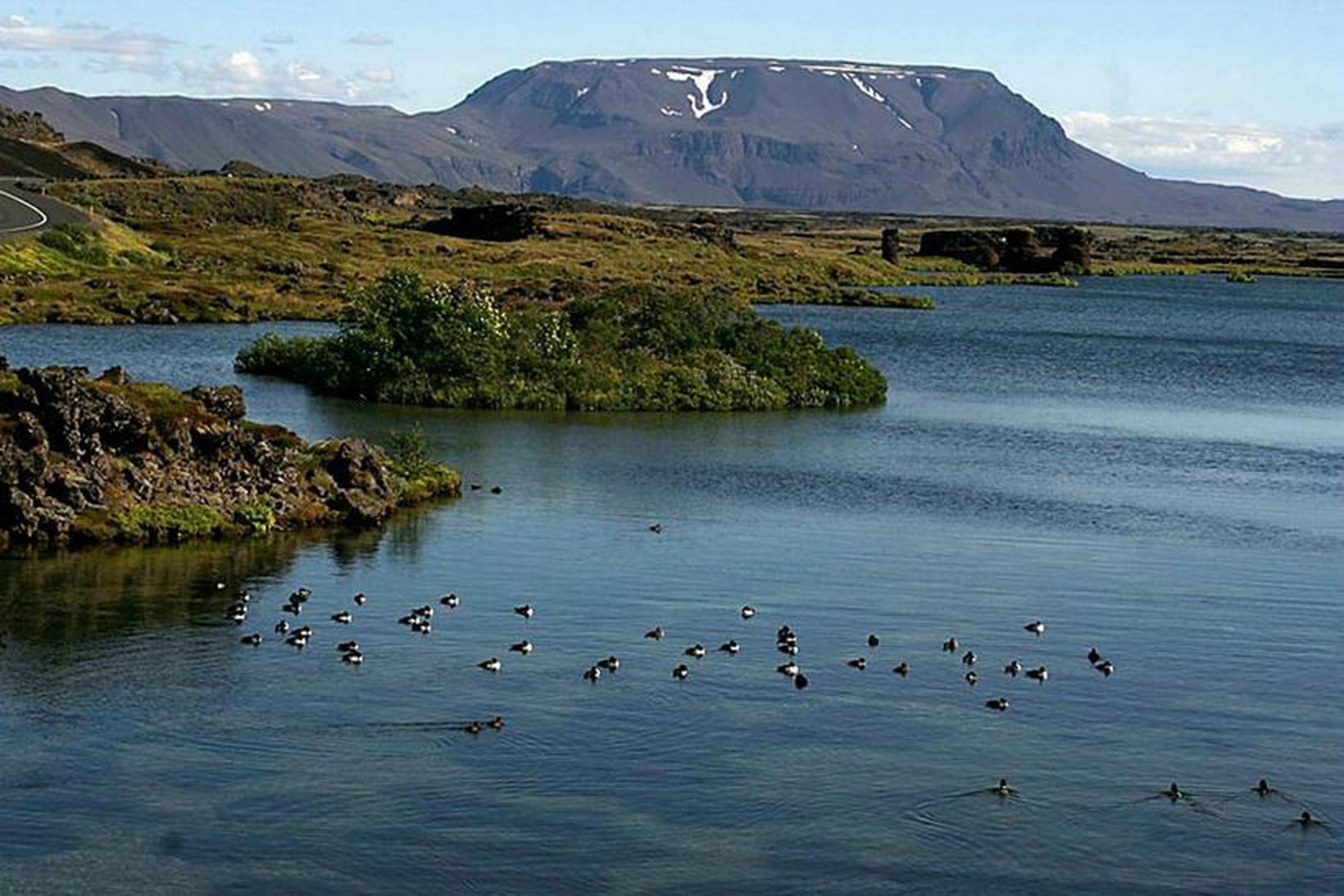 Mikil umræða hefur verið uppi um verndun lífríkisins á Mývatni.