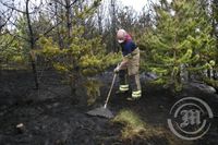 Gróðureldar í Heiðmörk