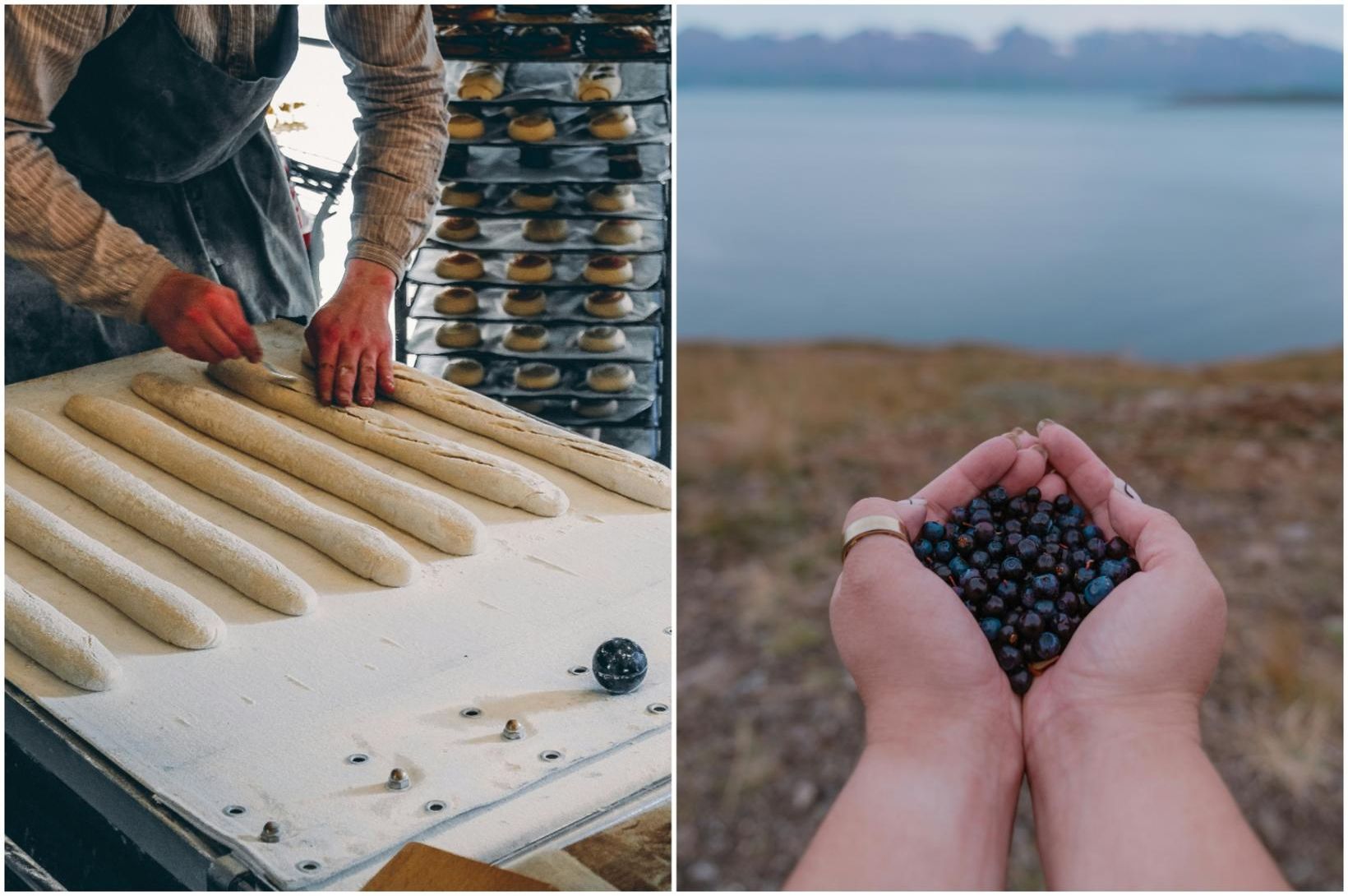 Vogue fer fögrum orðum um íslenskan mat