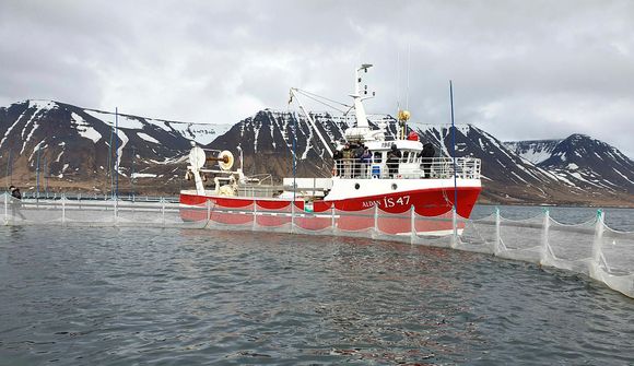 Arctic Fish setti út á breytt leyfi ÍS47