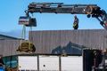 Brákarborg Torfið var fjarlægt af þakinu með stórvirkum tækjum.