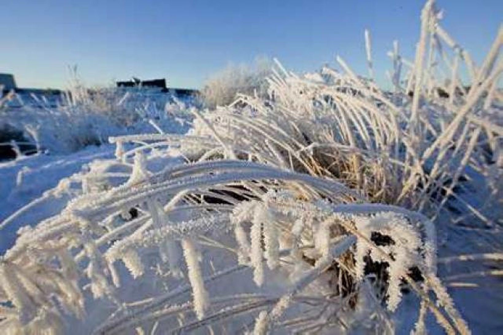 Mikið frost hefur verið á landinu og er spáð áfram.