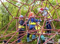 Hamast í klifurnetinu í Hljómskálagarðinum