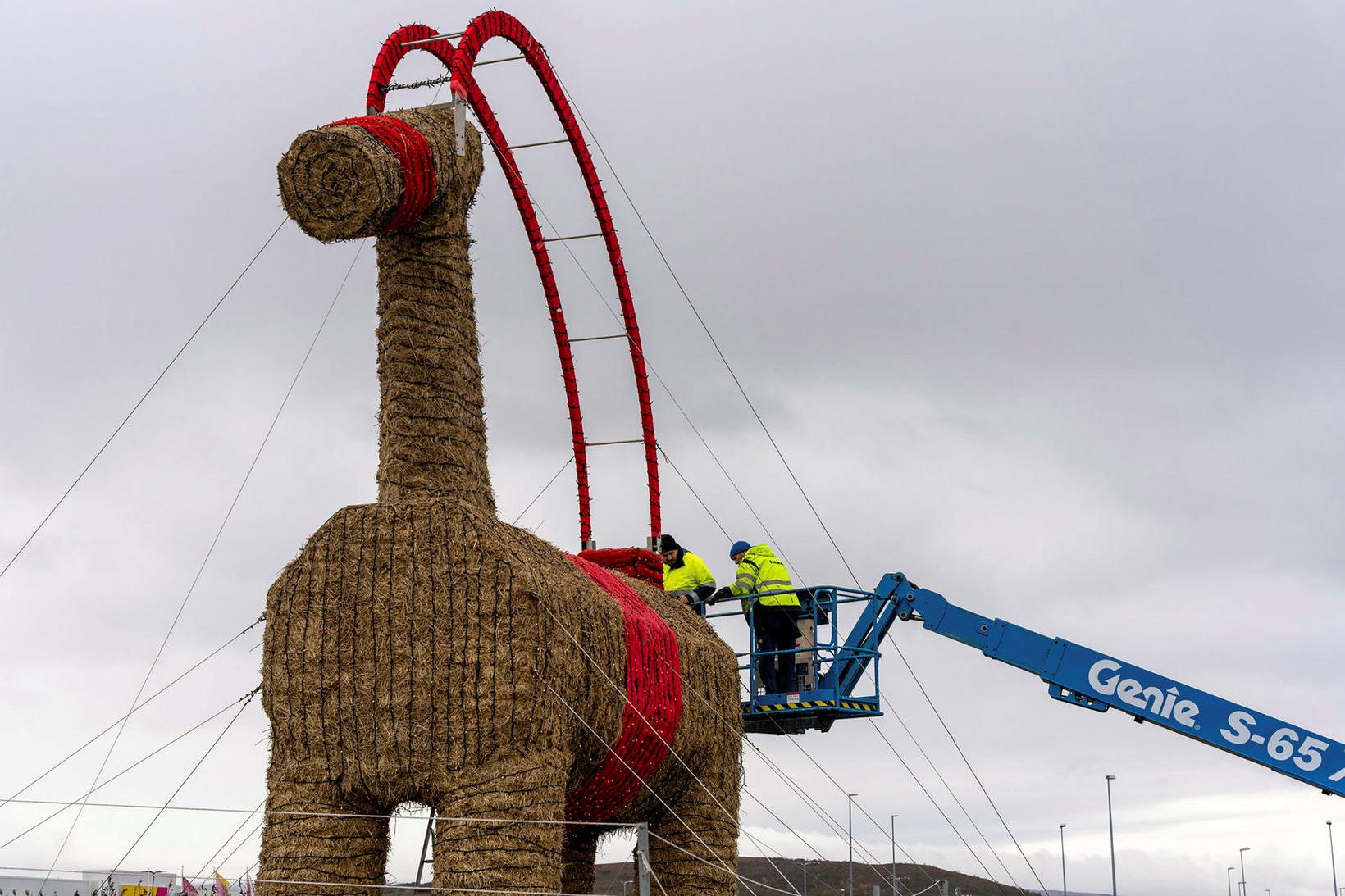 Geitinni hefur verið komið fyrir við IKEA venju samkvæmt.