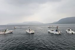 Strandveiðimenn víða um land sigldu út í mótmælaskyni.
