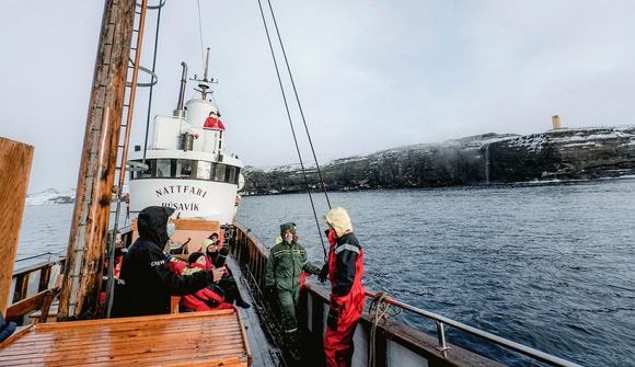 Fjórir hnúfubakar í fyrstu hvalaskoðunarferð ársins