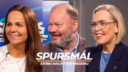 Allt í hers höndum við Austurvöll