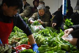 Handagangur í öskjunni á grænmetismarkaði í Peking á sunnudag. Góð grænmetisuppskera átti þátt í að …