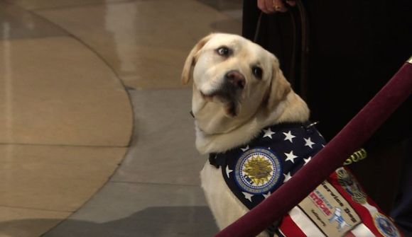 Sully fylgdi Bush til Washington