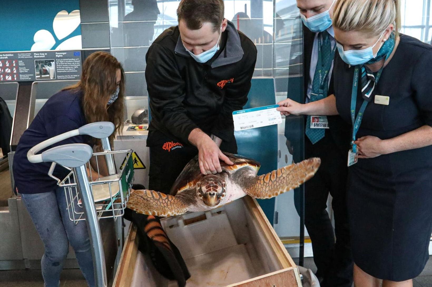 Flogið aftur til Kanarí eftir langt ferðalag