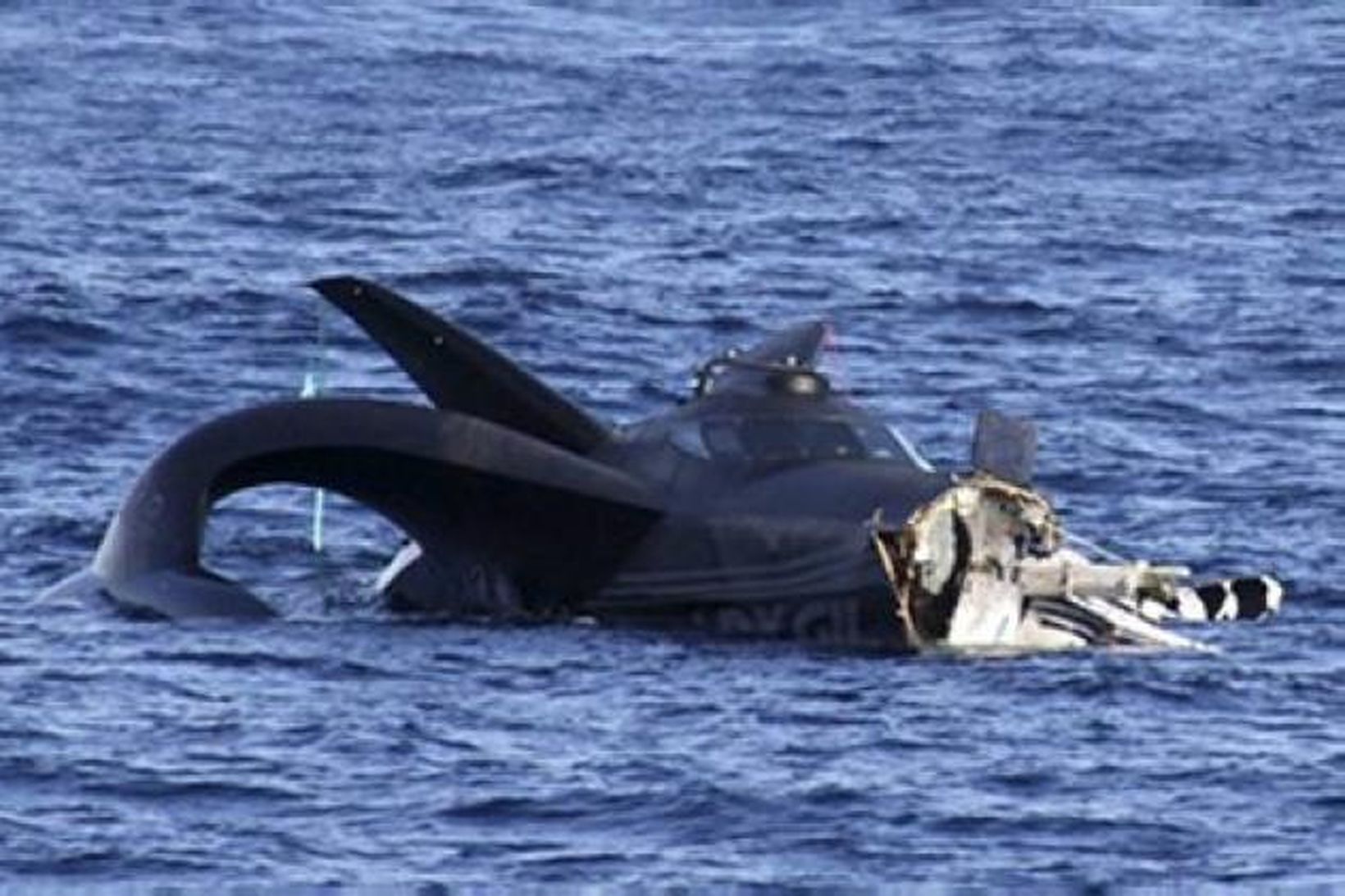 Ady Gil, bátur Sea Shepherd, sökk eftir að hvalveiðiskip sigldi …