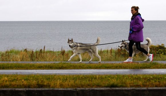 Rólegt veður næstu daga